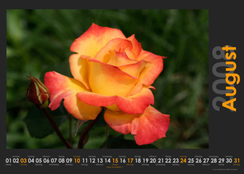 Natur 2008 08