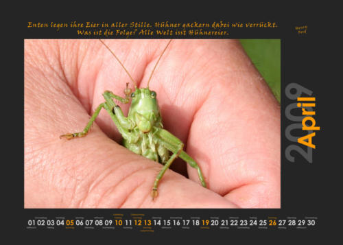 Natur 2009 04