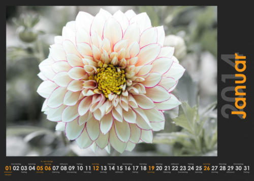 Natur 2014 01