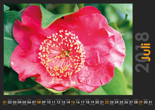 Natur 2018 07